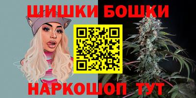 МДПВ Рузаевка