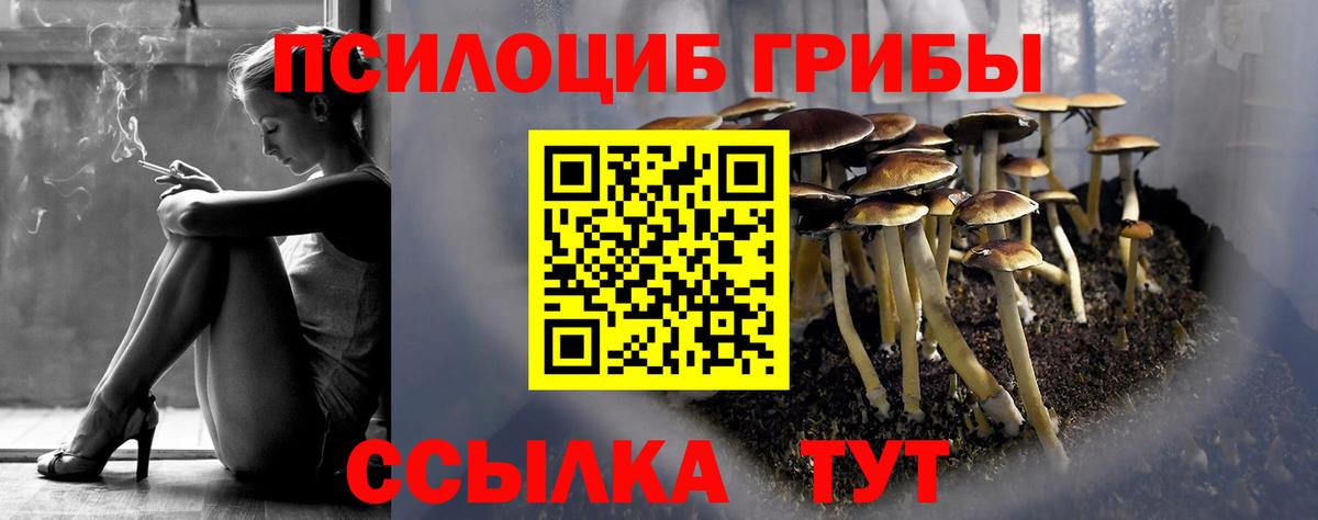 Галлюциногенные грибы мухоморы Светлоград