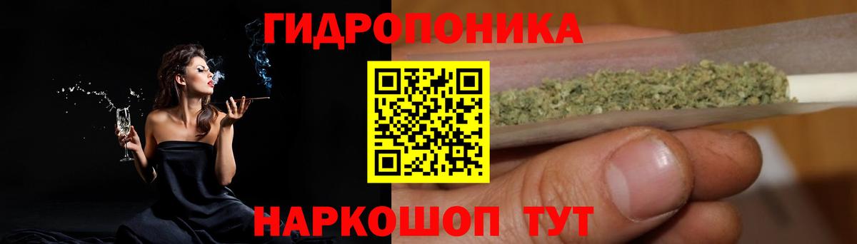 A PVP Светлоград